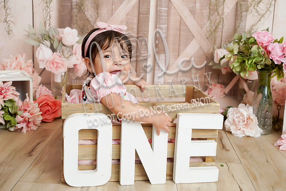 DSC03940