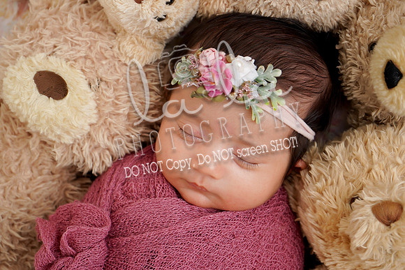 DSC00617(edit)