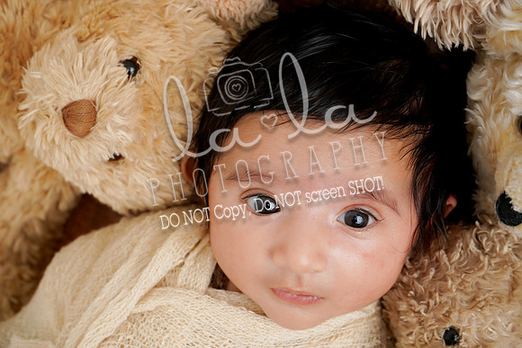 DSC02786_1edit