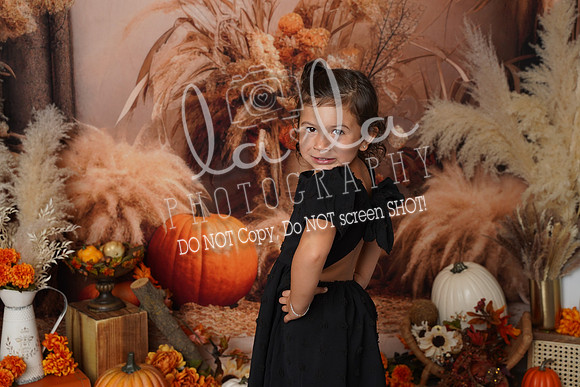 DSC09233