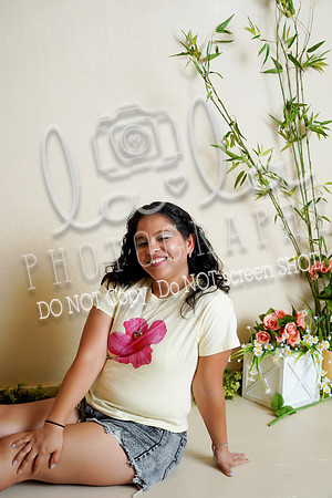 DSC00537