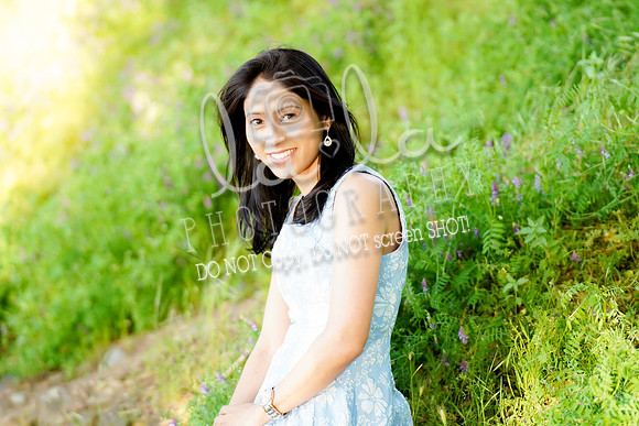 DSC03985