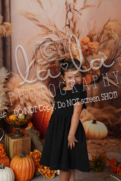 DSC09186