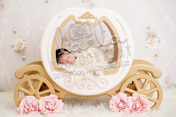 DSC02852 Edit