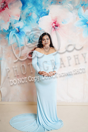 DSC04527