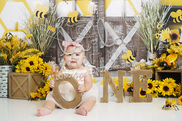 DSC01291