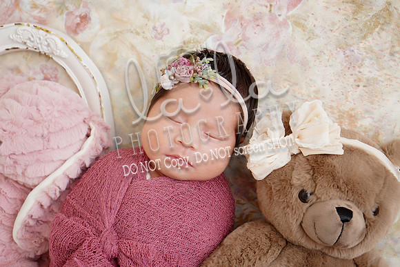 DSC03581