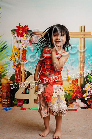 DSC02020