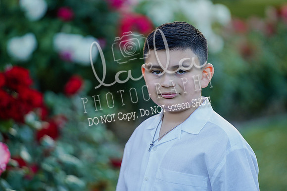 DSC00524