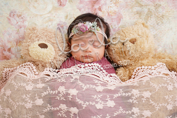 DSC00593(edit)