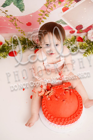 DSC00208