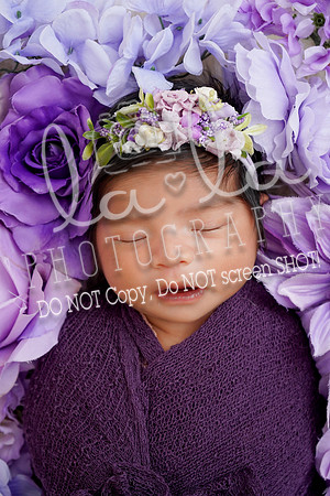 DSC01393