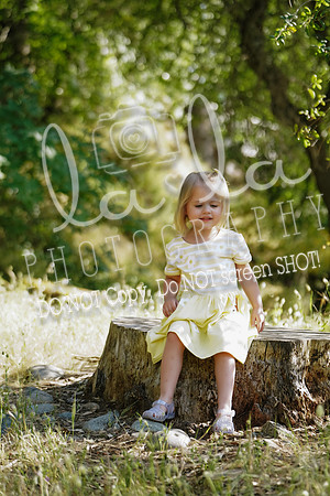 DSC01101