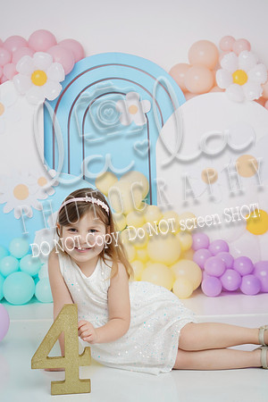 DSC03741