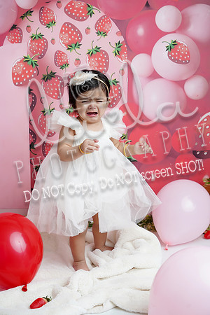 DSC04534