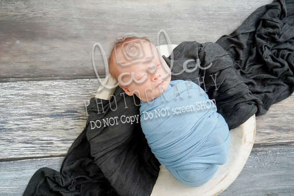DSC07647