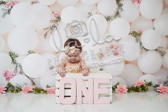 DSC01373