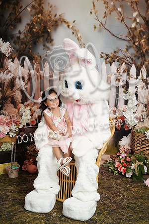 DSC08882